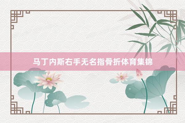 马丁内斯右手无名指骨折体育集锦
